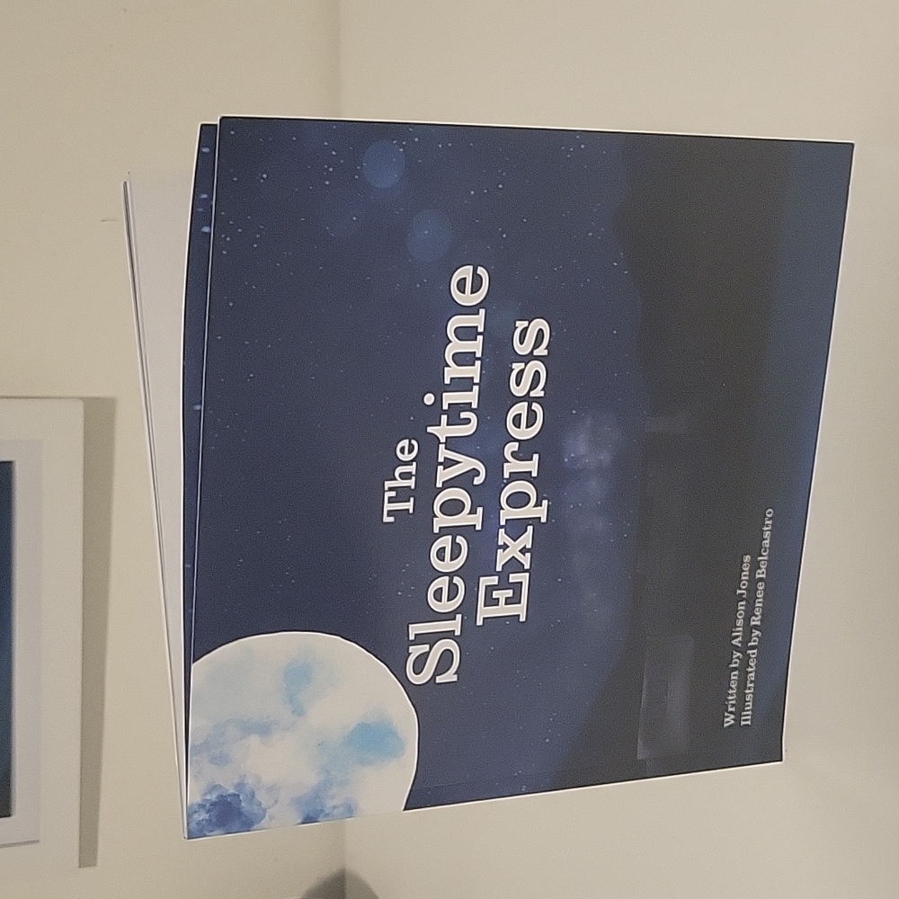 The Sleepytime Express book